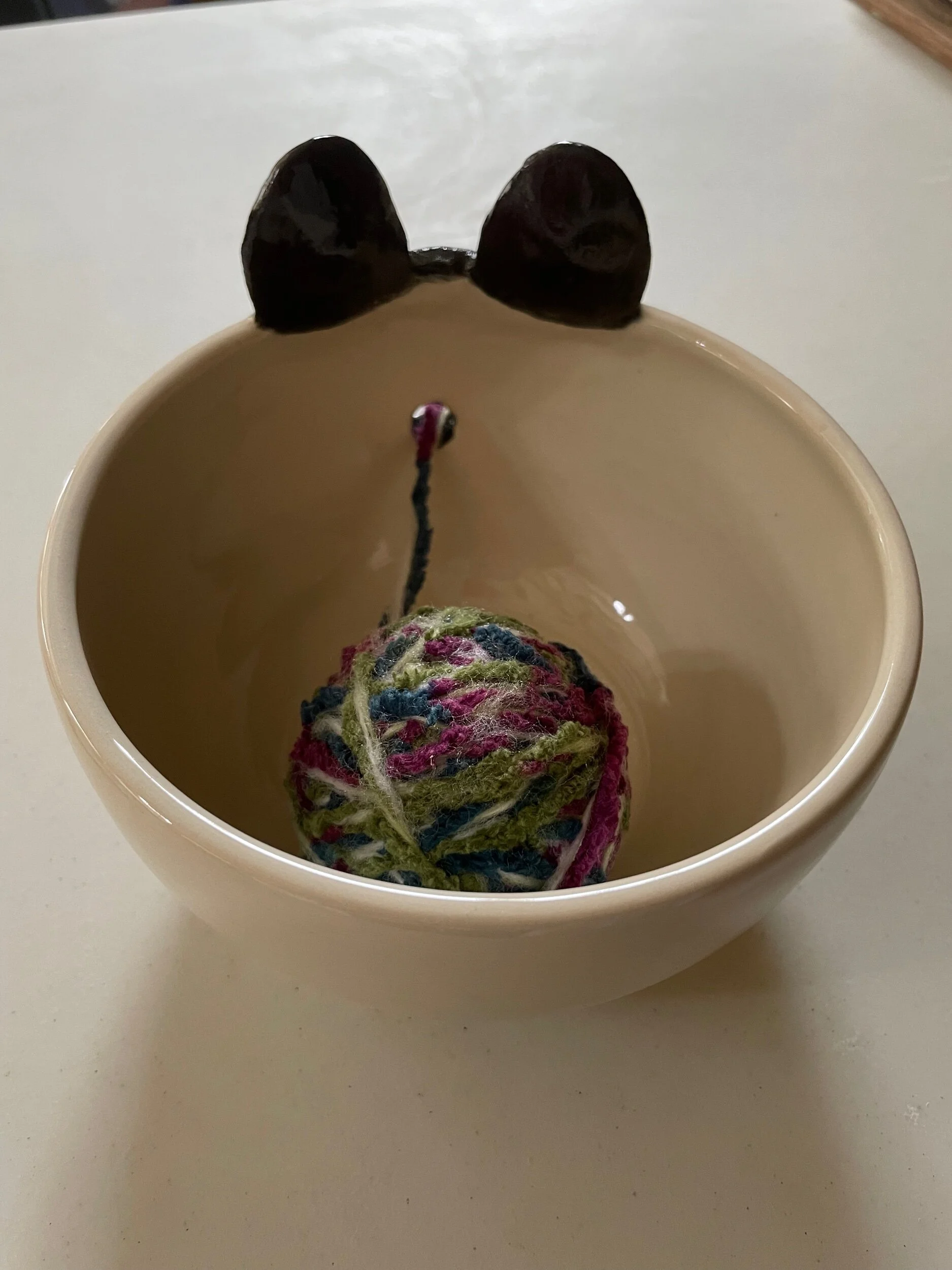 B5F6D389-A8B9-4503-A978-F0BC4C45A3F9