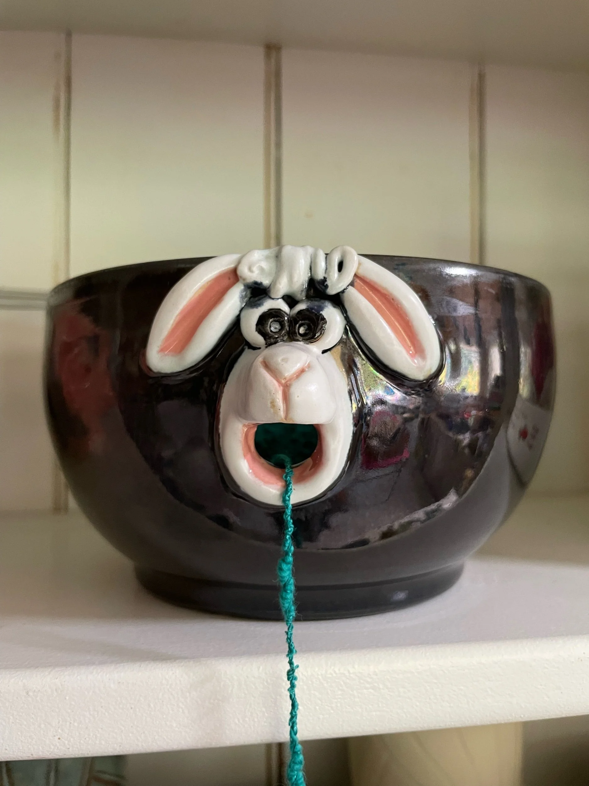 D6CCBCD8-2AAD-441D-AD89-60CE2BF005F8.jpeg