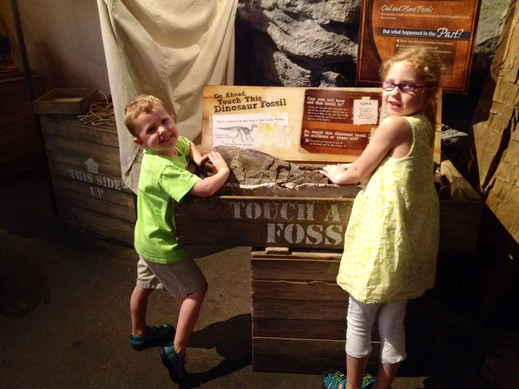 So how many of you can say that you've touched a dinosaur fossil without being kicked out of the museum?