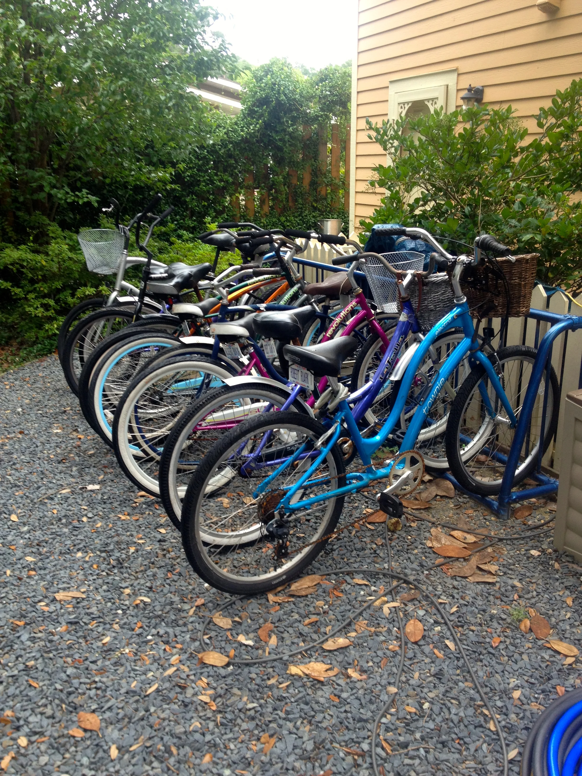 the cute bikes we got to ride around town