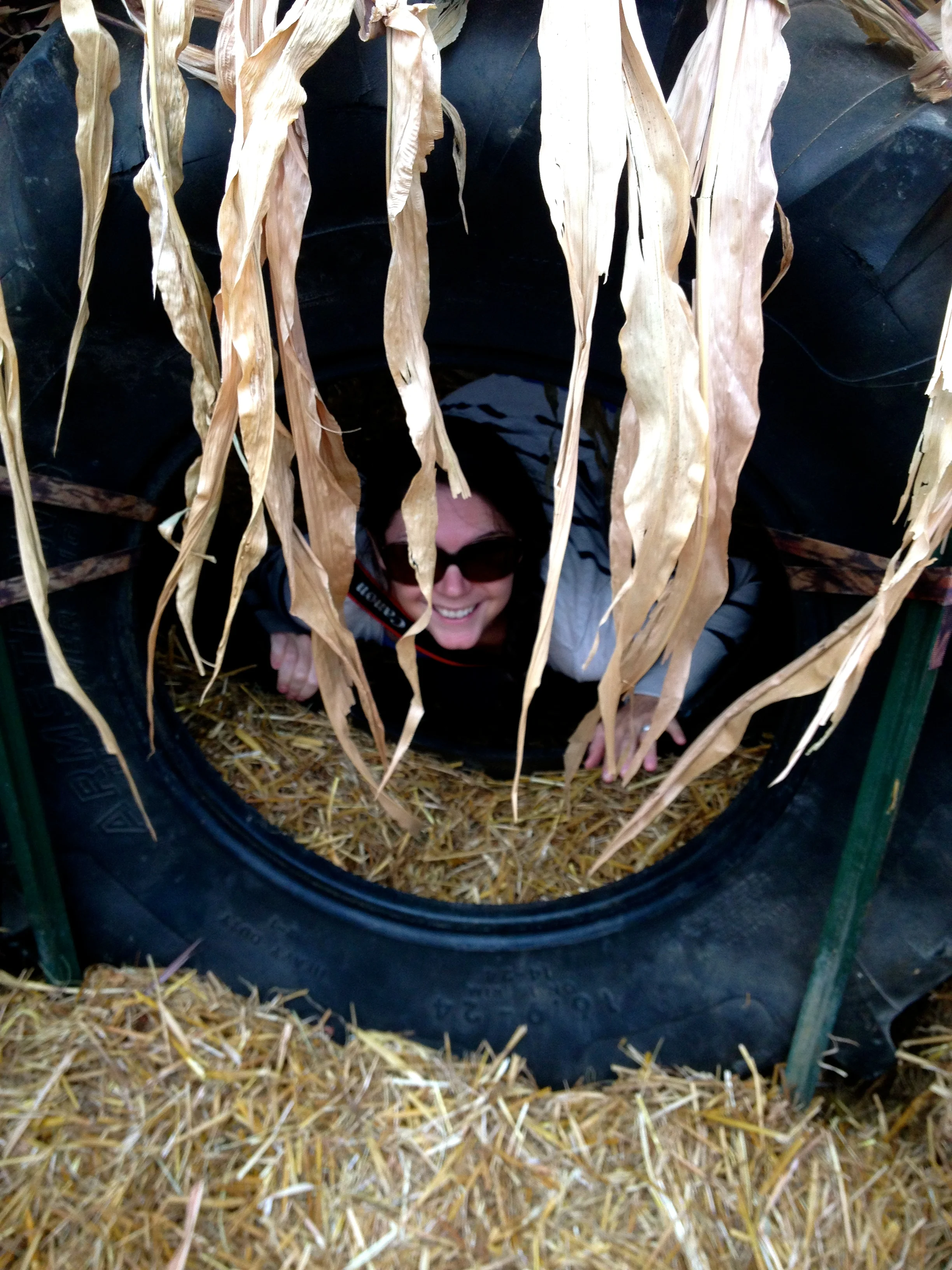 Hiding in the maze