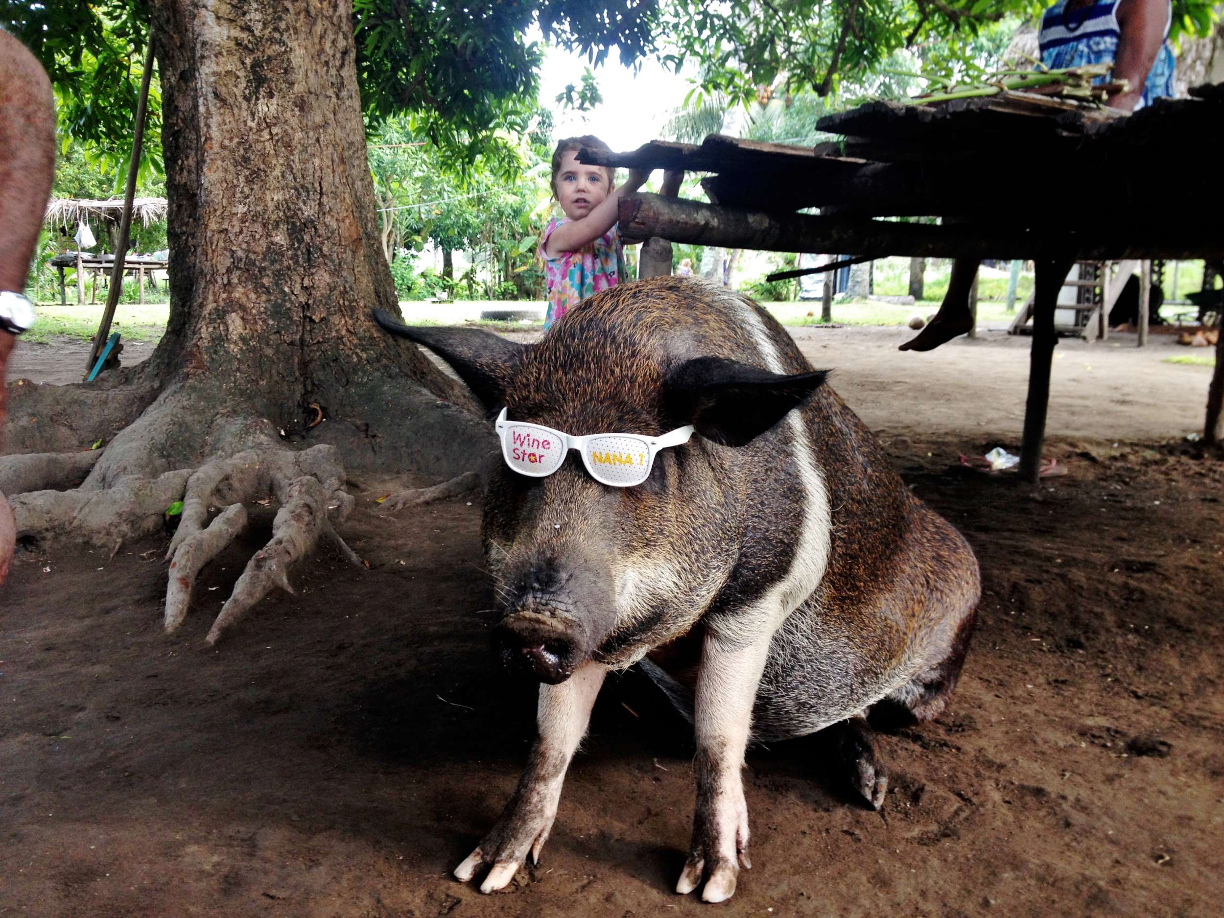 "Boss" hog.