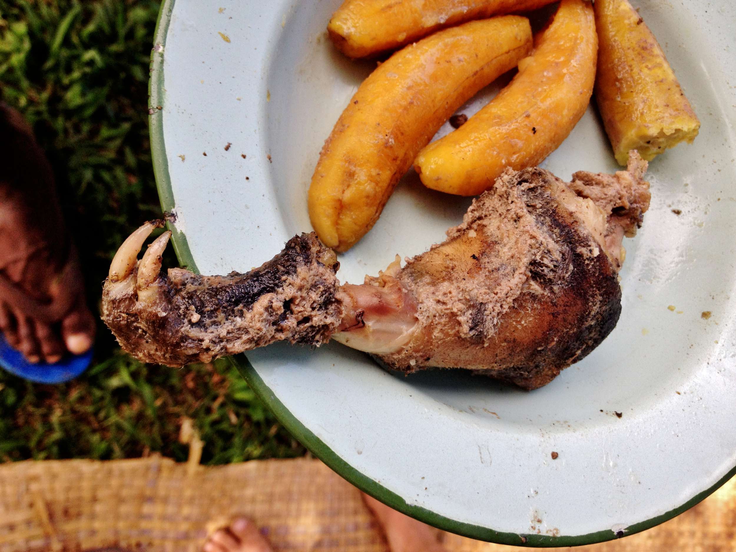 Not your average chicken leg... This is roasted mumut, also known as bandicoot. It's a large rat-like marsupial thing. Pretty much all dark meat. Kristi said yay; John said nay.