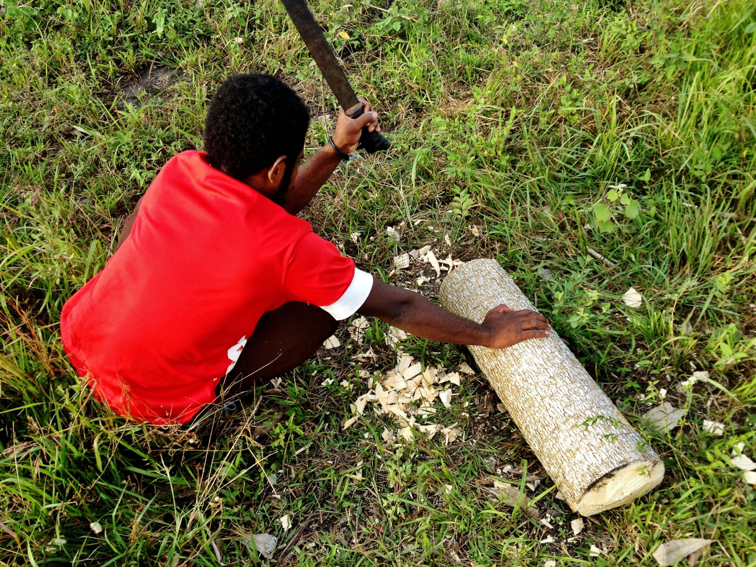 My kundu was made out of "Susu" wood, which is typically used for this task. Susu literally means "milk" which made sense to me when I broke a limb off and it started bleeding (what looked like) milk. It was great to be doing this with a professional like Papa because there were a few other trees that I thought looked like good options, but he would reply "That tree is too hard" or "No, that tree is for posts".