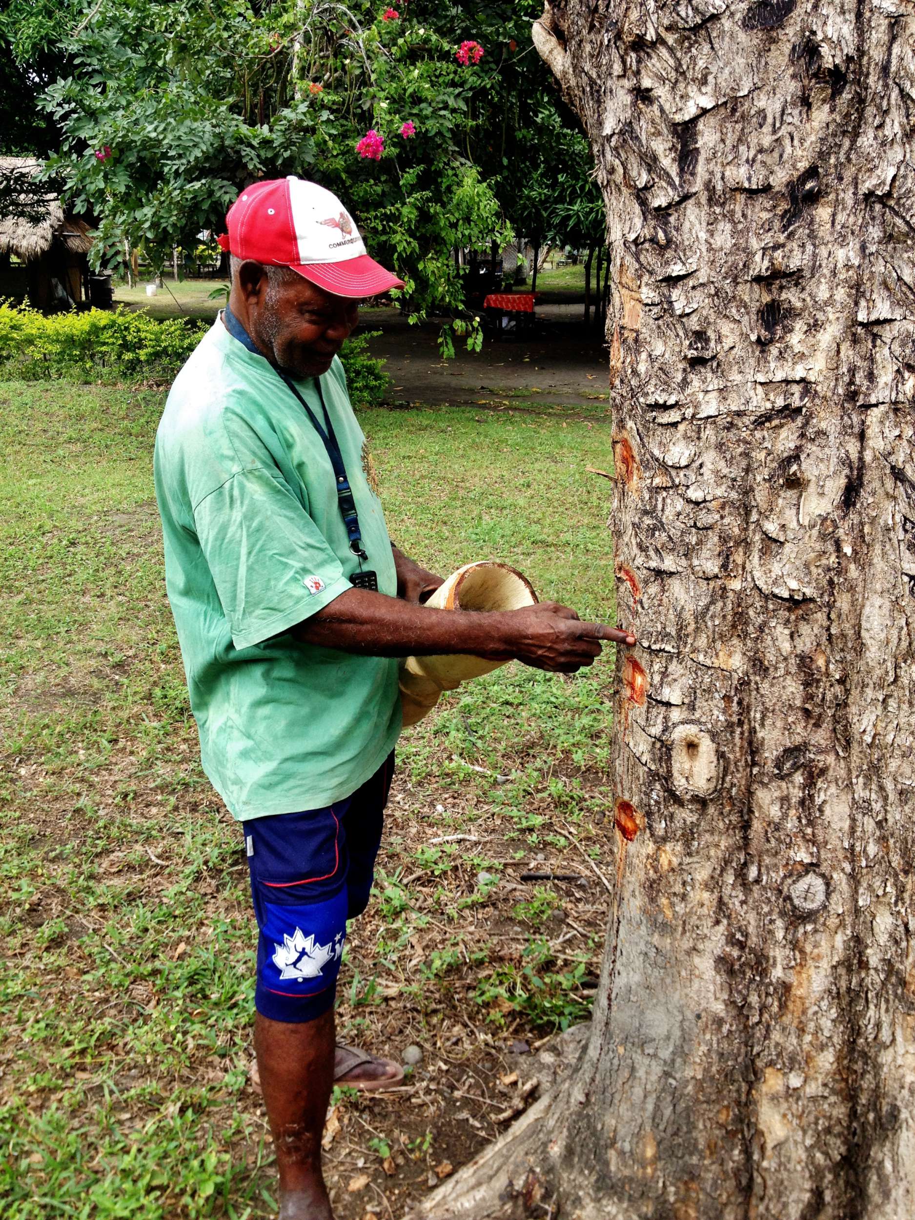 Papa uses (what I think is) Rosewood sap for adhesive for the kundu pailai skin.
