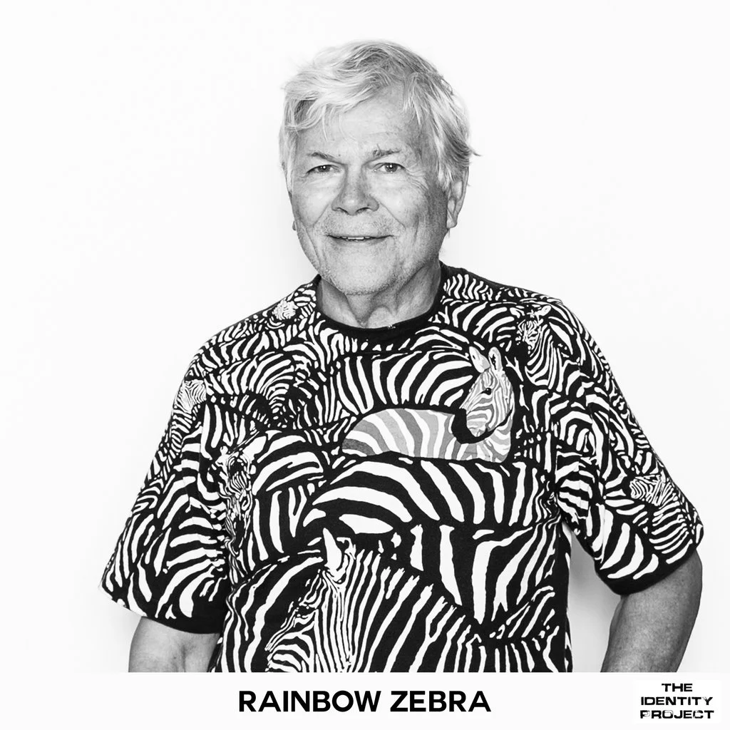 Rainbow_Zebra_Framed.jpg