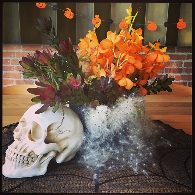 It&rsquo;s a happy accident when milkweed balls explode and look like creepy spiders just in time for Halloween #urbanbotanicasf #halloweendecor #flowers #holidayflowers #sanfranciscoflowers #sf