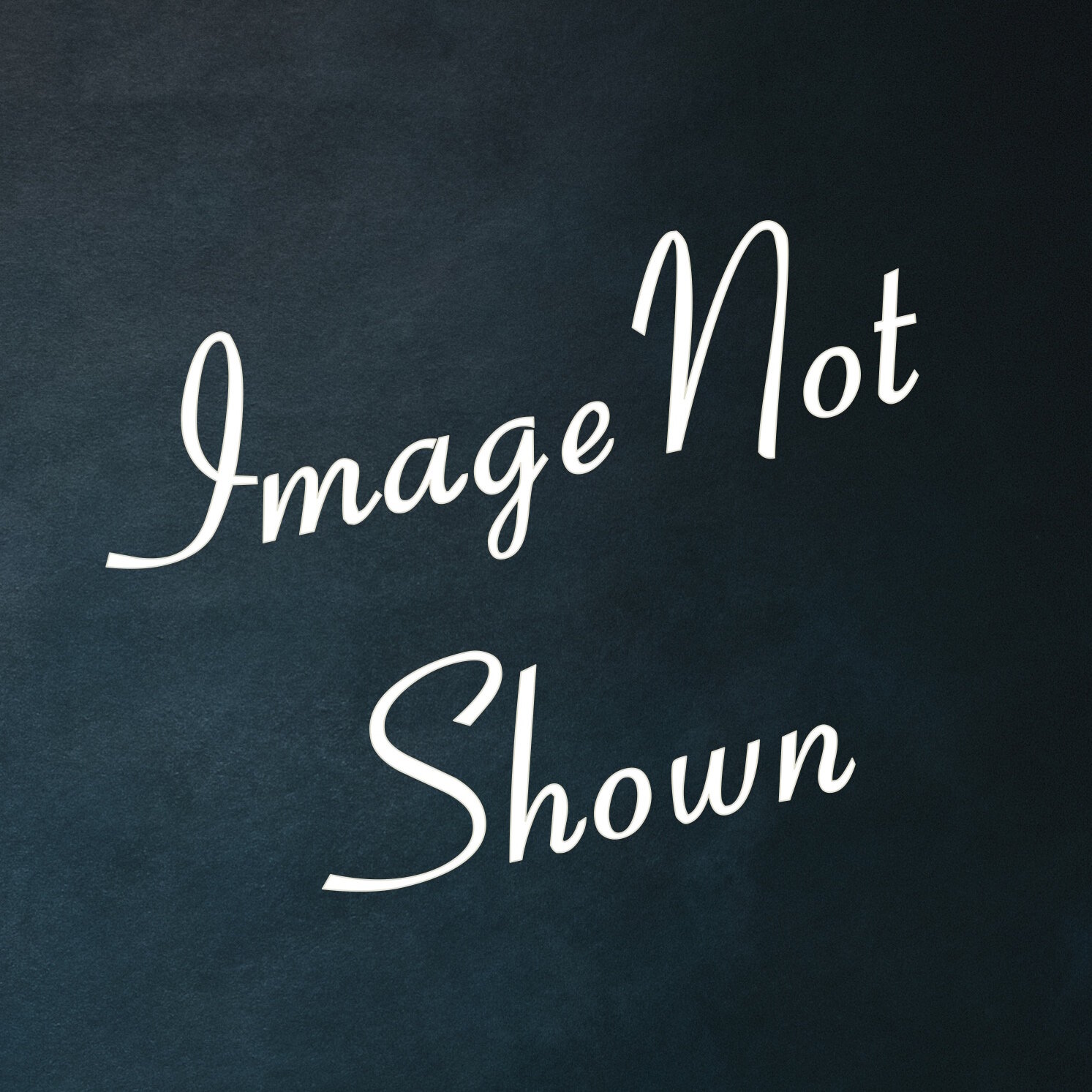 Image Not Shown copy.jpg