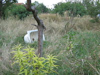   Metamorphosis , few photographs from the installation,   projected digital photo series, 2007 