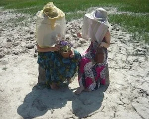   Picnic , photo #3, 2012 