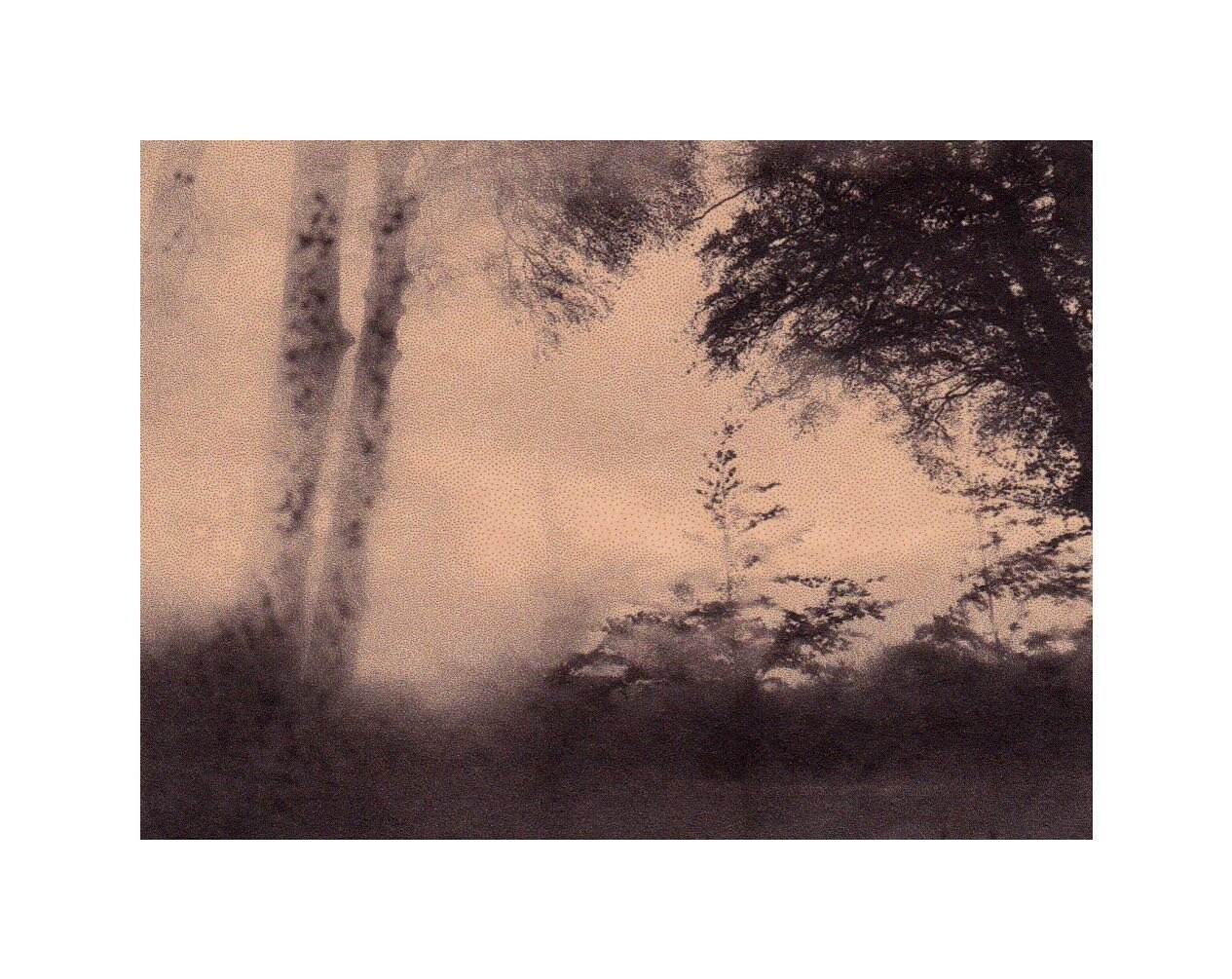 &ldquo;Lamenting the Earth&rdquo; 
Toned rice paper prints
.
.
.
.
.
.
#alternativeprocesses #antiquated #antiquatedphotography #landscape #landscapephotography #landscapeart #melancholy #earth #poetry #fog #forest #shadows #trees #prints #landscapel