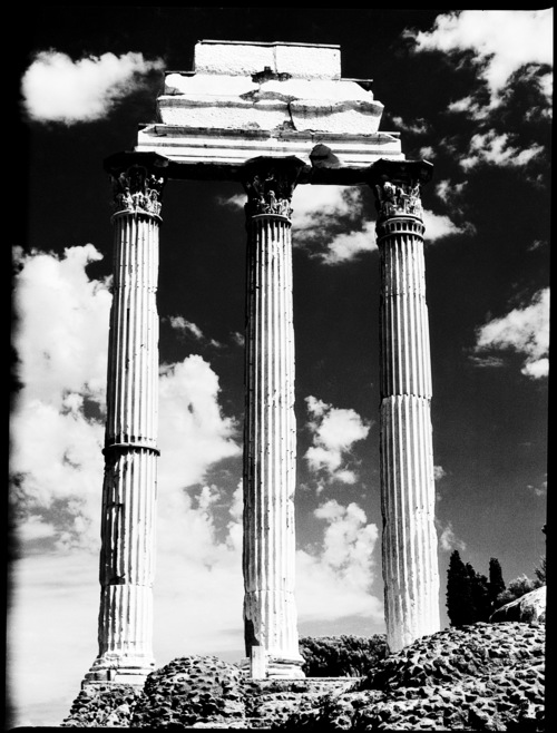 Roman Forum - Roma