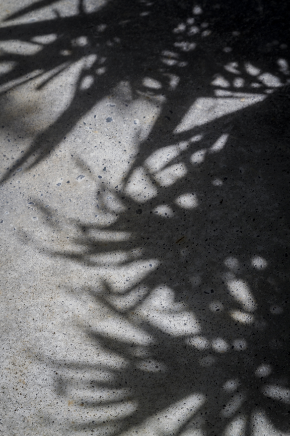 for In Shadow series