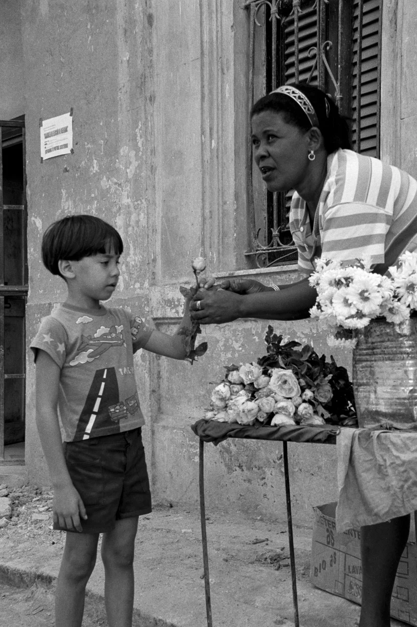 Buying Flowers on International Women's Day