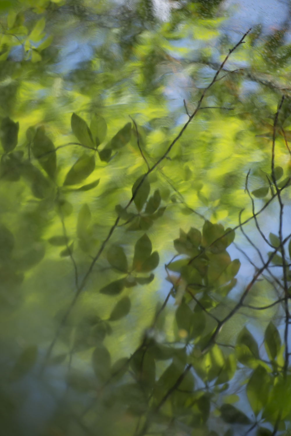  Cranberry Lake 