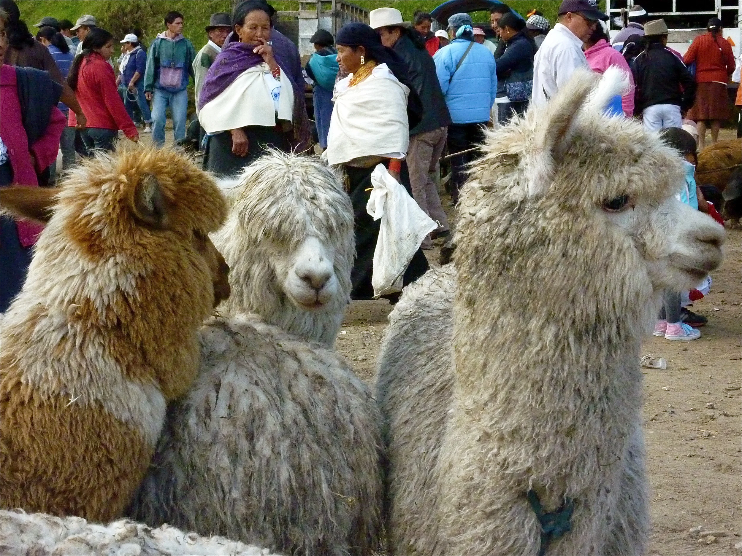P1140673.JPG