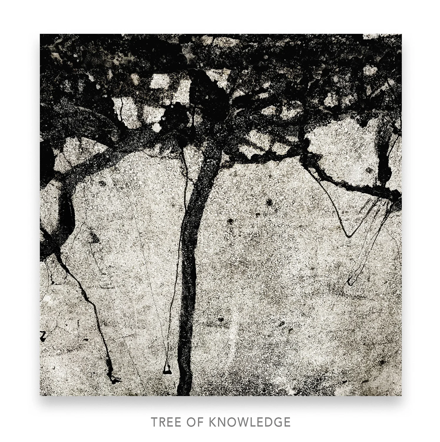 Tree of Knowledge.jpg