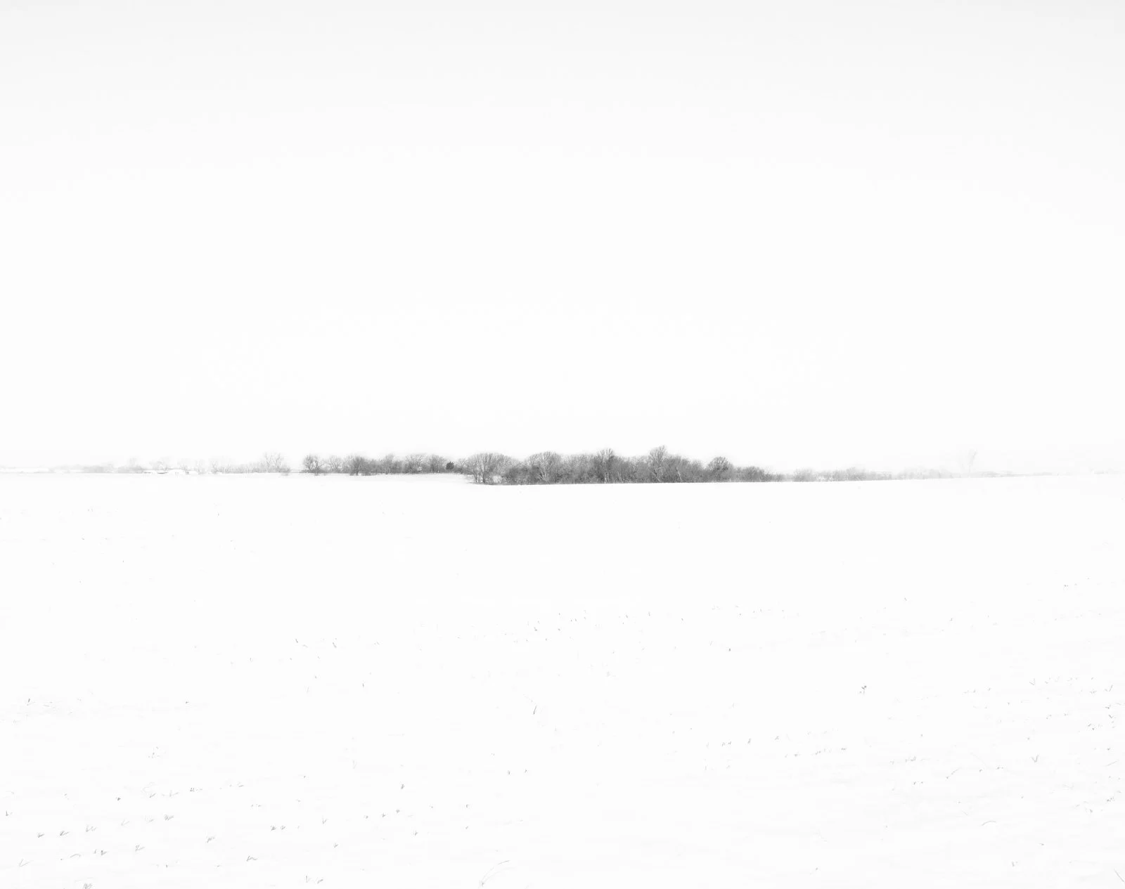 _DSC8217-2.jpg