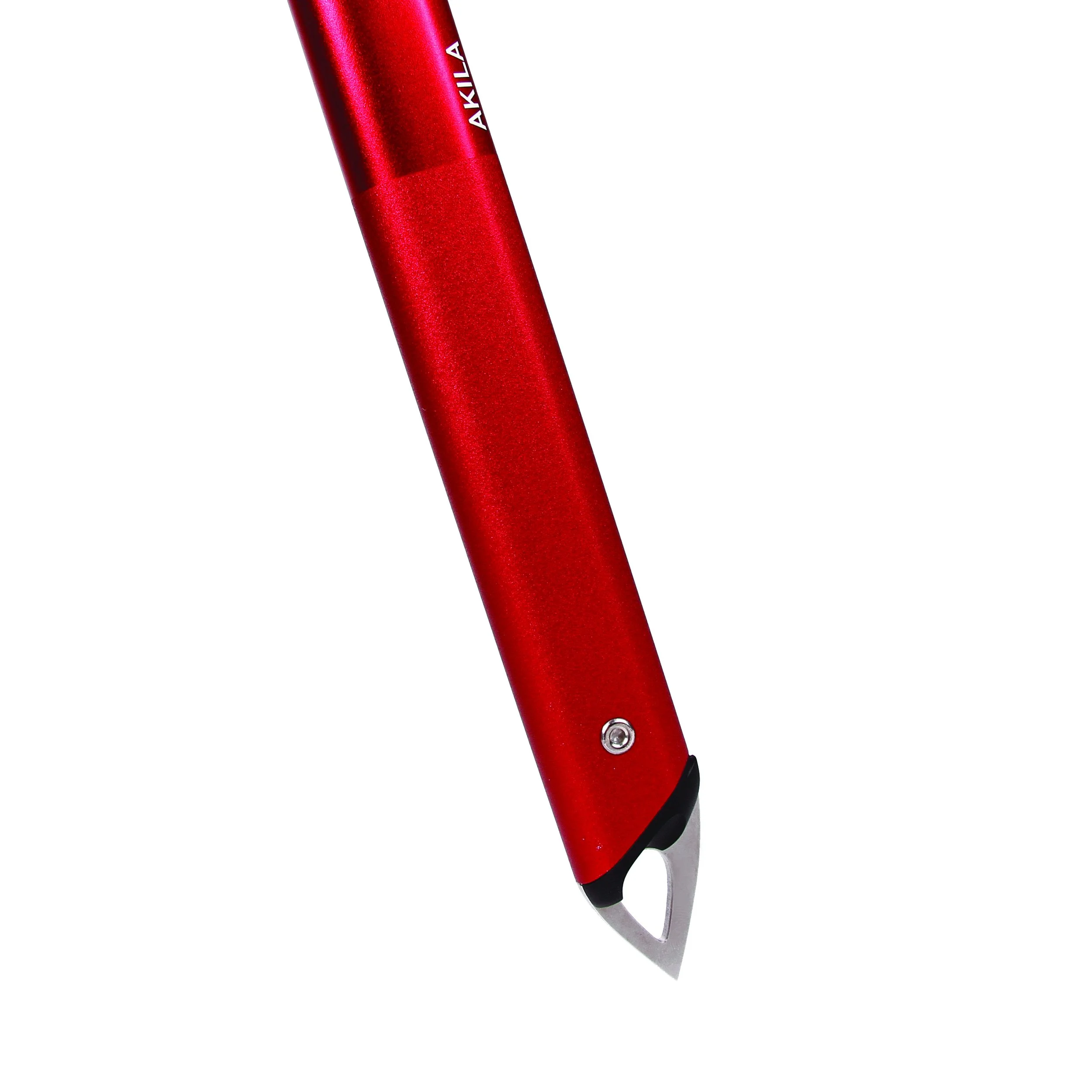 Aquila-spike-print.jpg