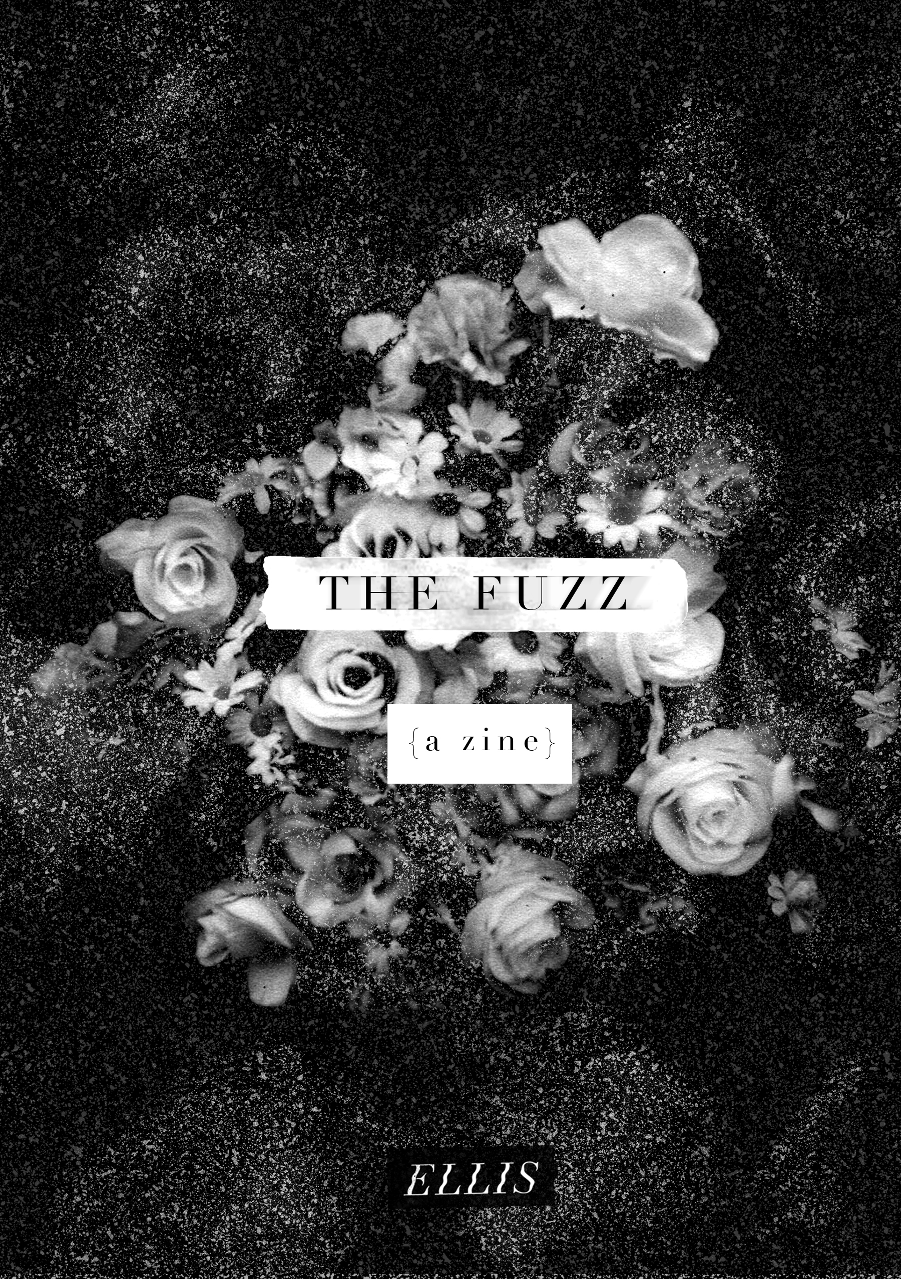 'THE FUZZ' (front cover)