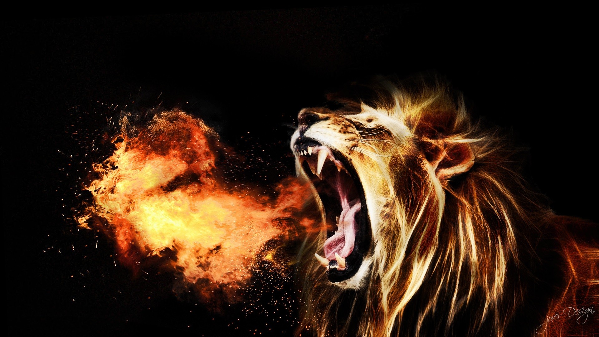 SHE ROARS – Roar Church