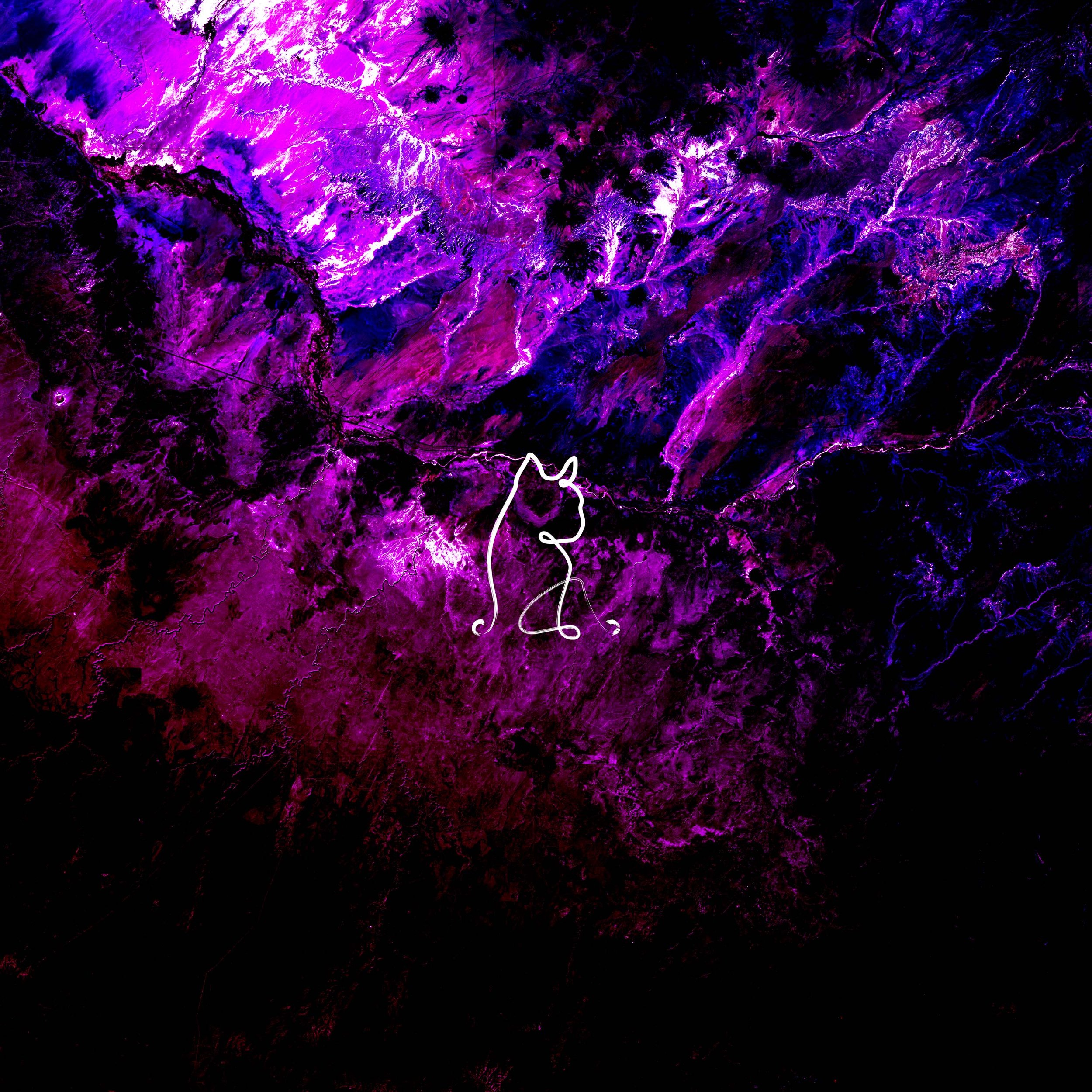 VML080 - VIRGO