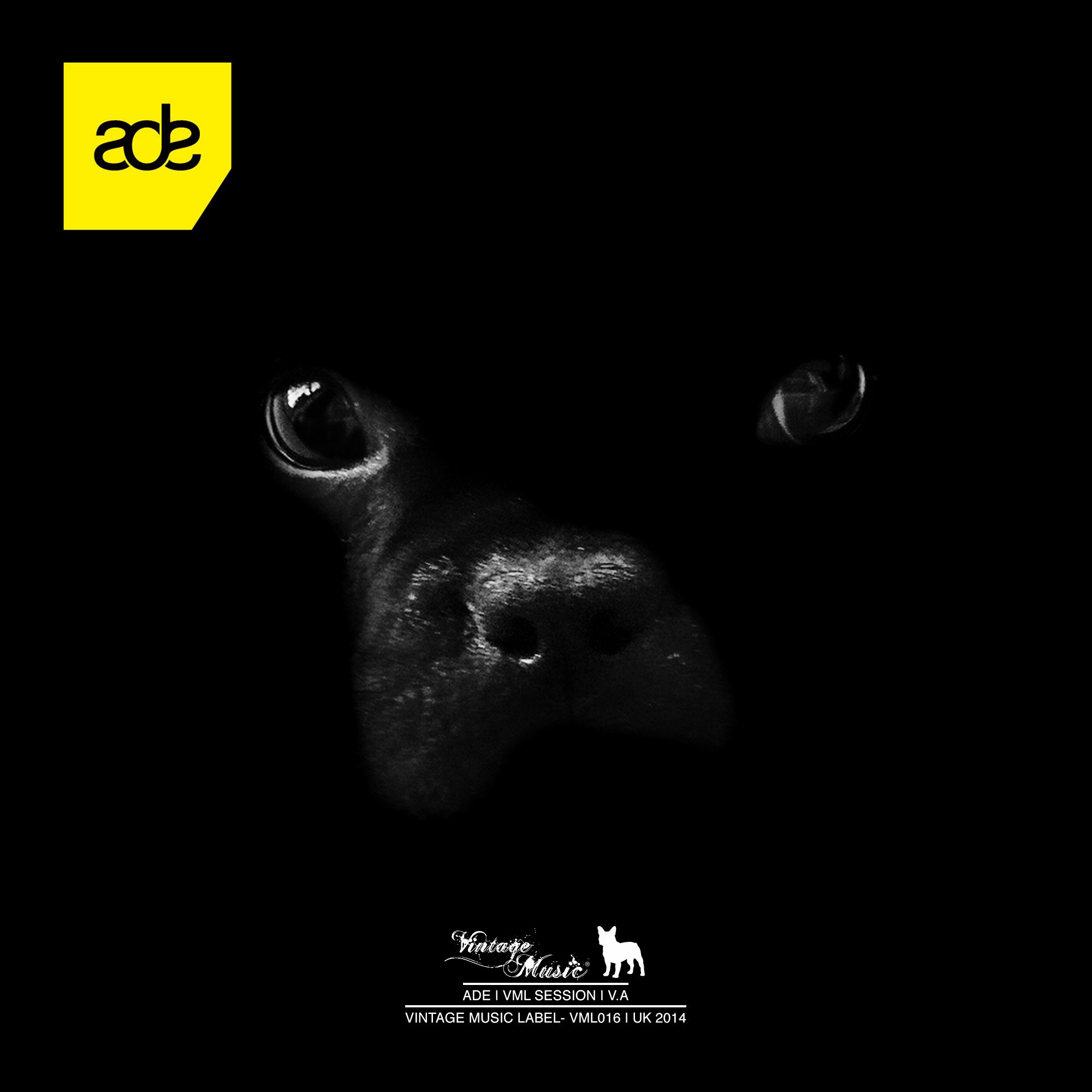 VML016 - ADE | VML SESSION