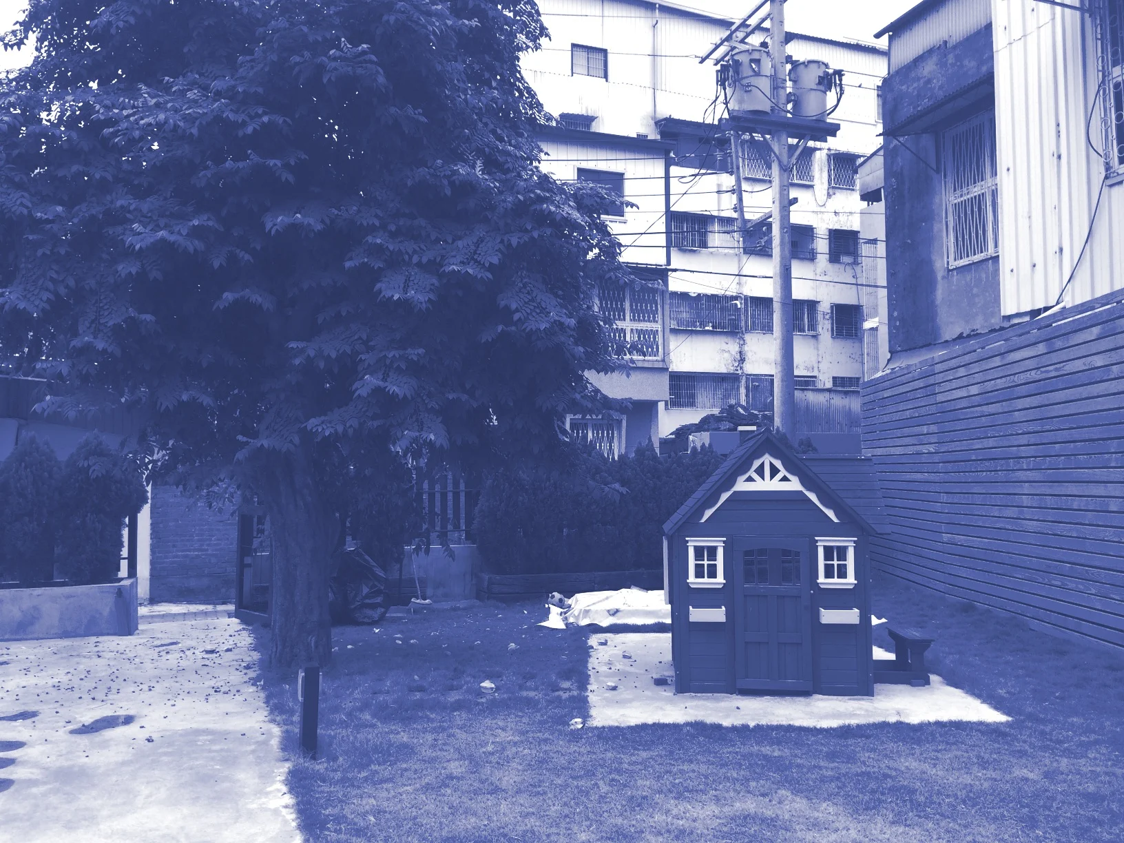 house of the lucky dog