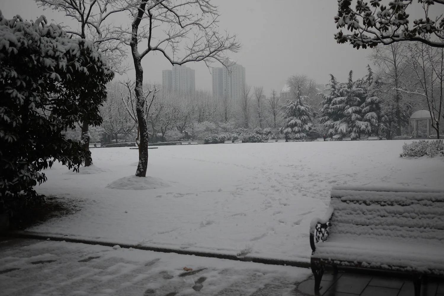 公園雪景,上海一角