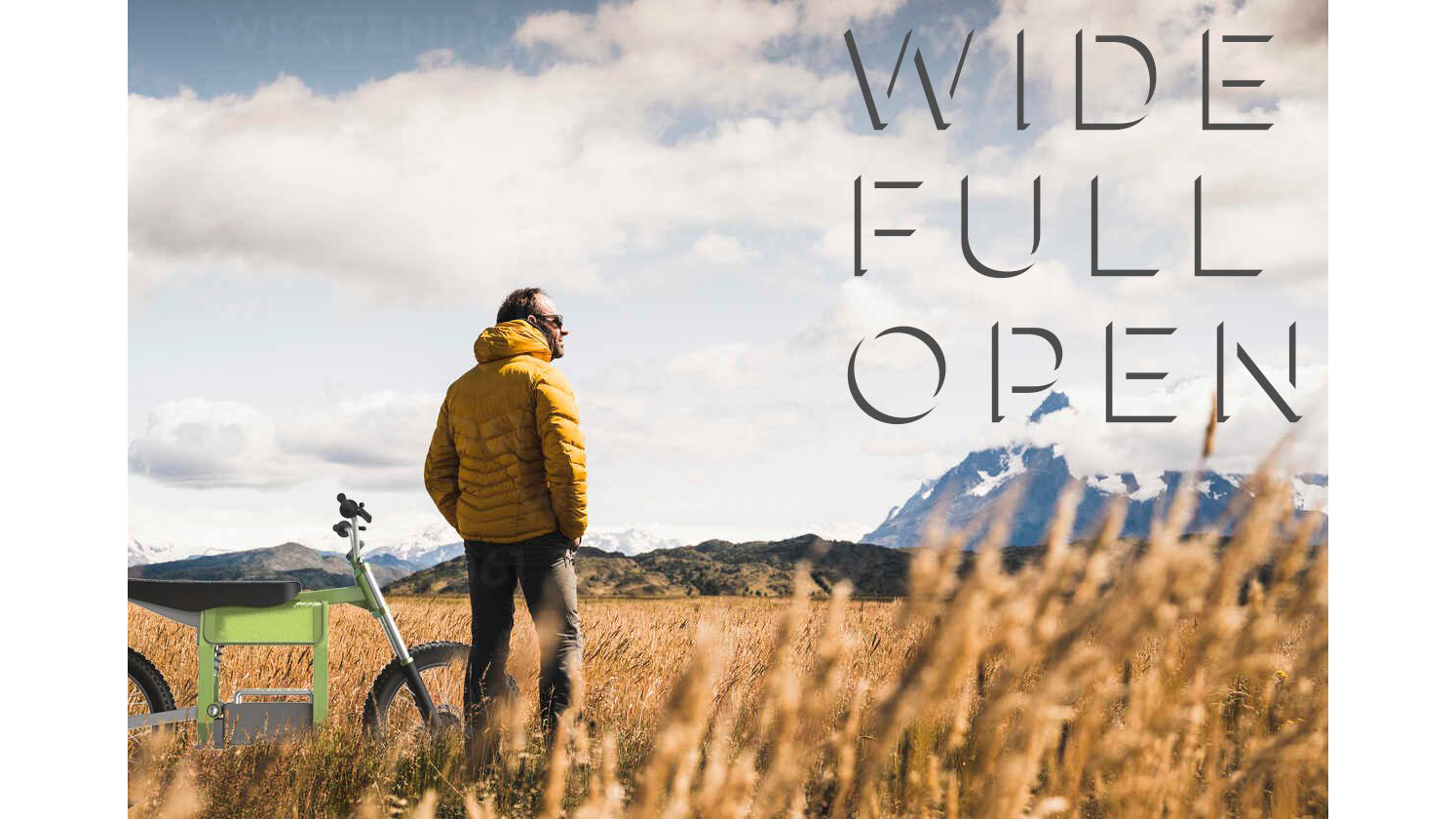 Electric Moped Market_Page_12.png