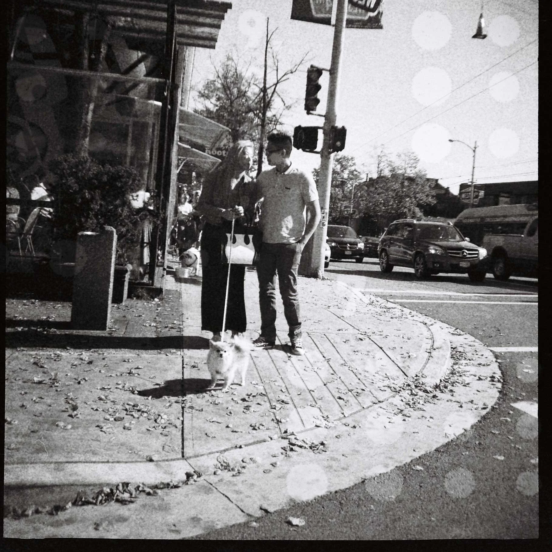 Kits couple with dog West 4th Ave., Vancouver Diana F, 120 lomo film 3.15