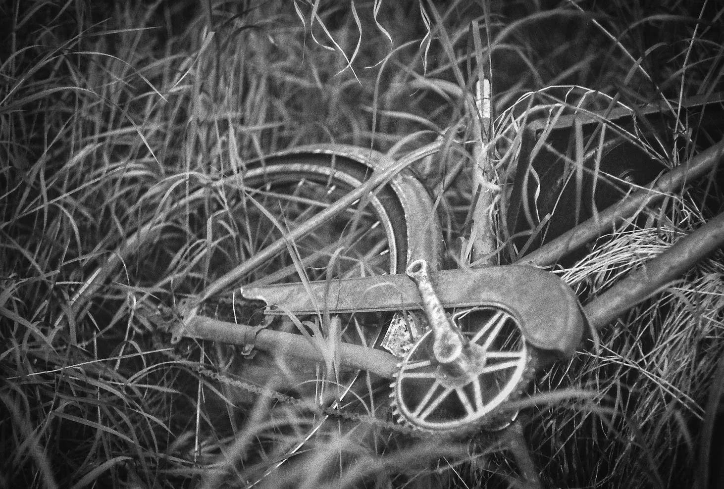 Bicycle in grass Bulwark, Alberta Leica M3, Canon 50mm F1.4 Ilford Pan F Plus 50 film 7/16