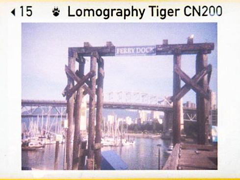 110 instamatic Lomo 200 Tiger-4.jpg