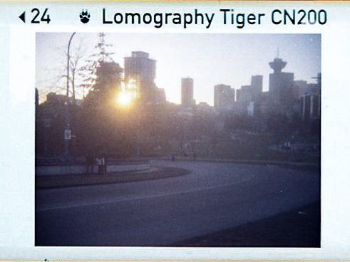 110 instamatic Lomo 200 Tiger-11.jpg