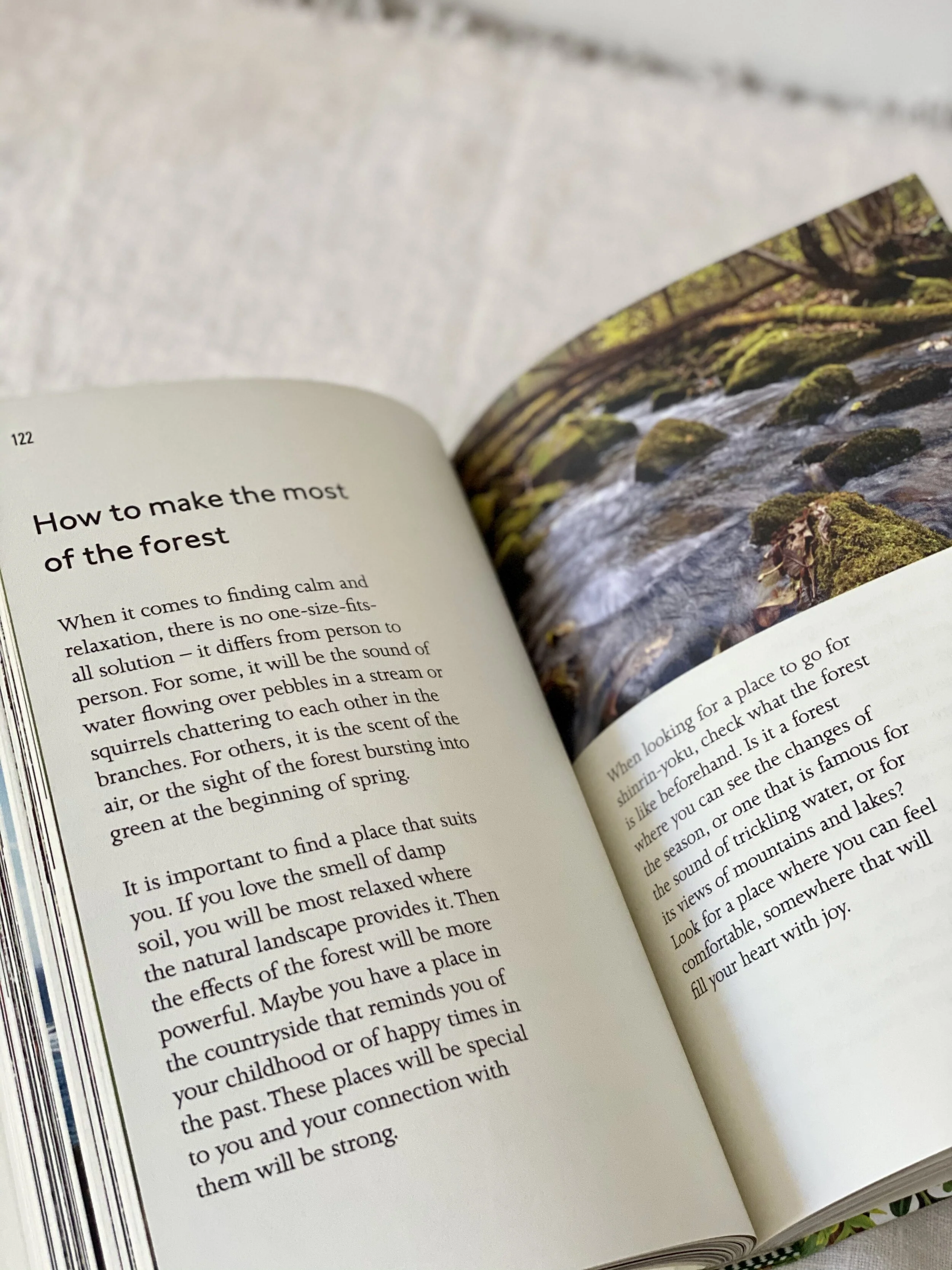 AB7319B2-FDFB-42FD-A80D-8EFBC1F624A0