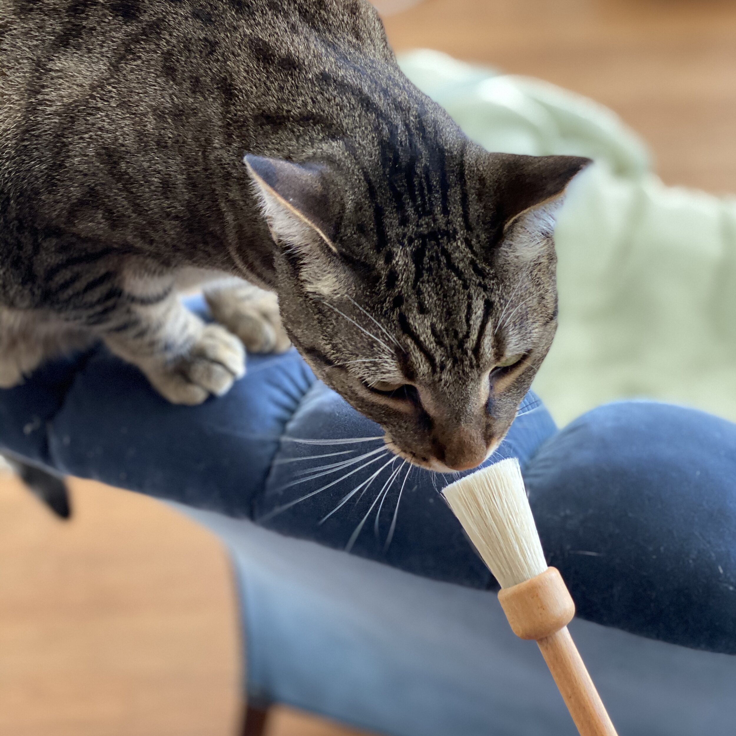 621E817F-EBCB-4A5A-8F51-233E60BF12F1