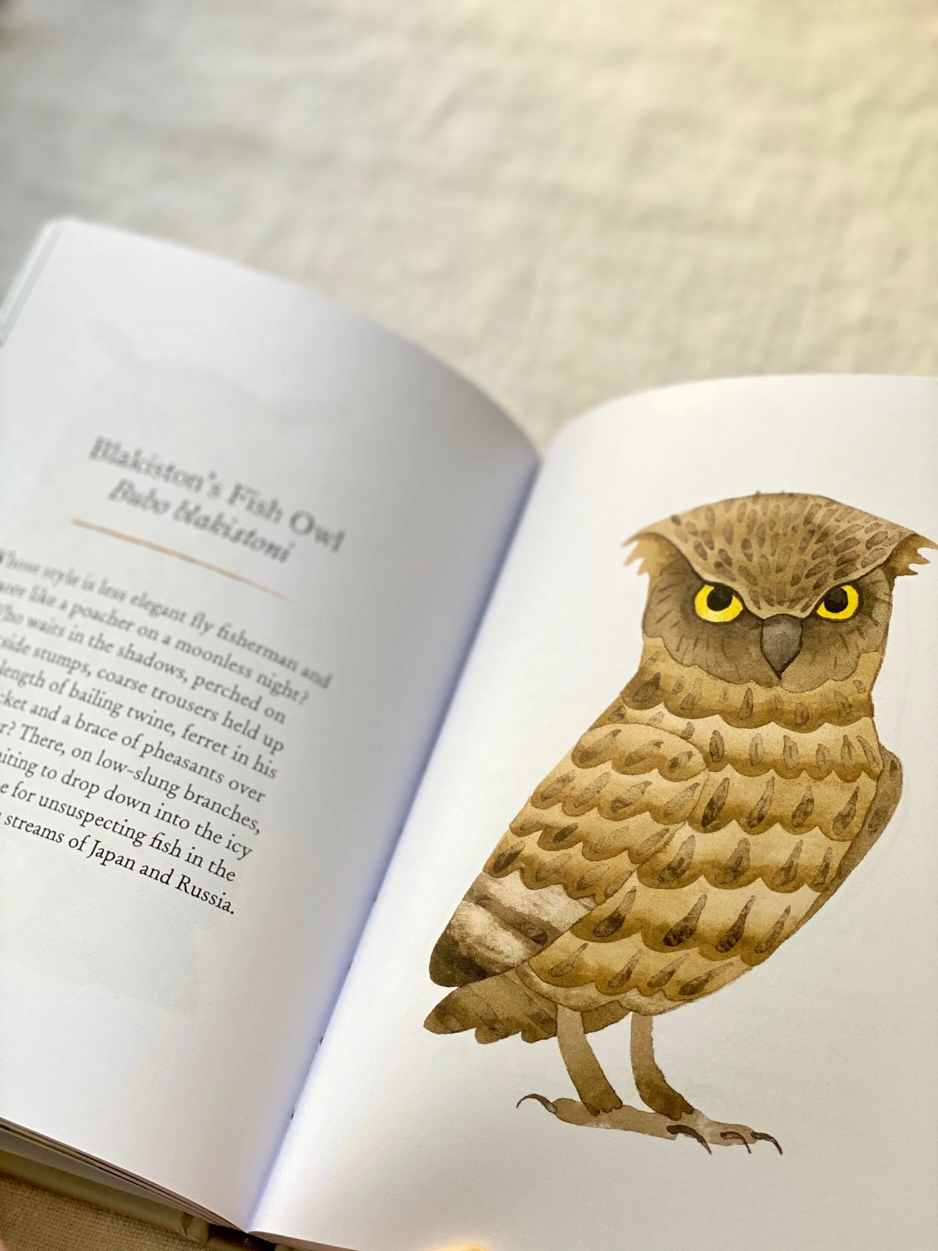 178EE603-1C7B-411C-970D-B568A69565F0