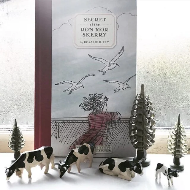 EB3F6E18-11EF-41FE-B5E4-E0D9D398E8D4