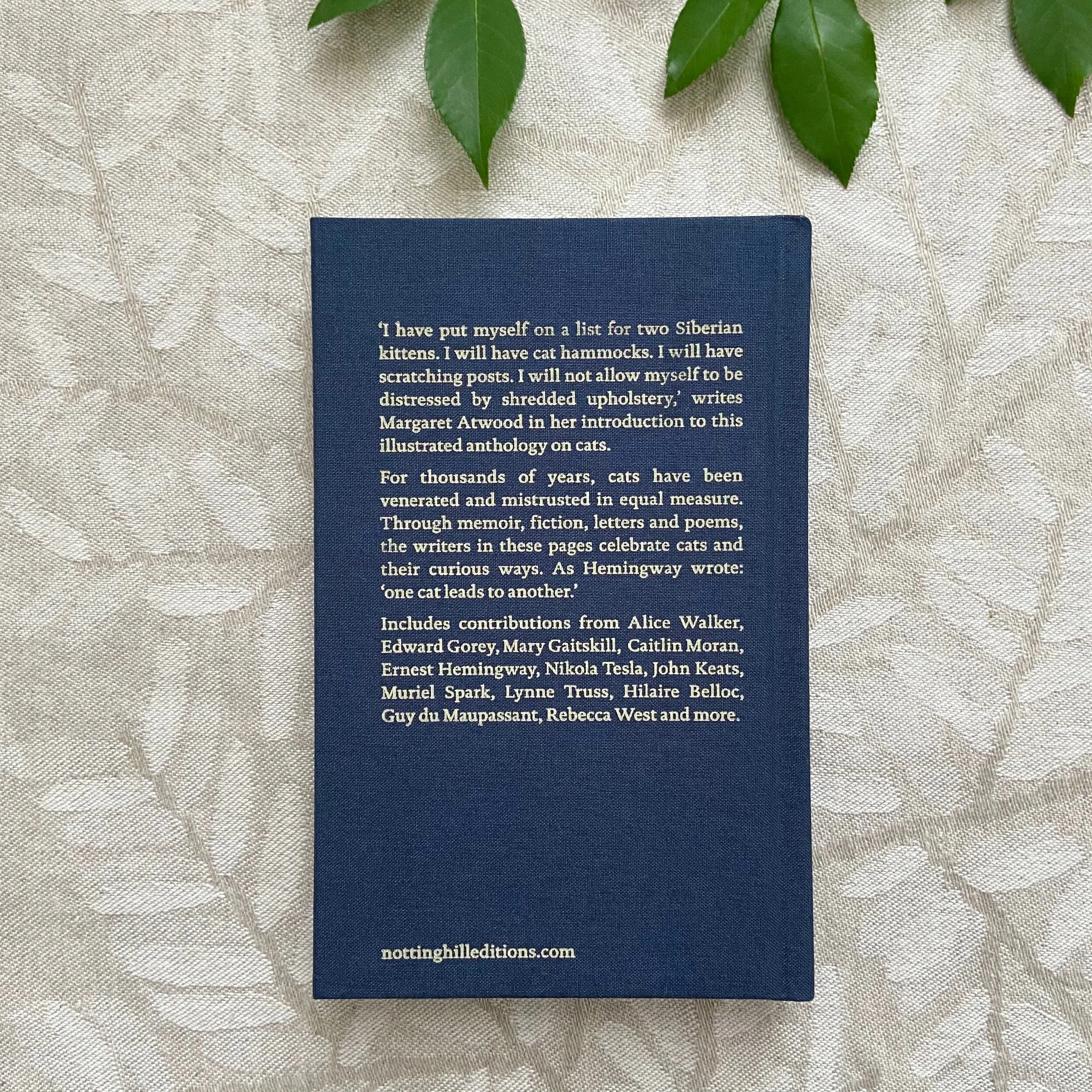 5E5A5027-E283-4E2D-AE05-1E5660337C4E