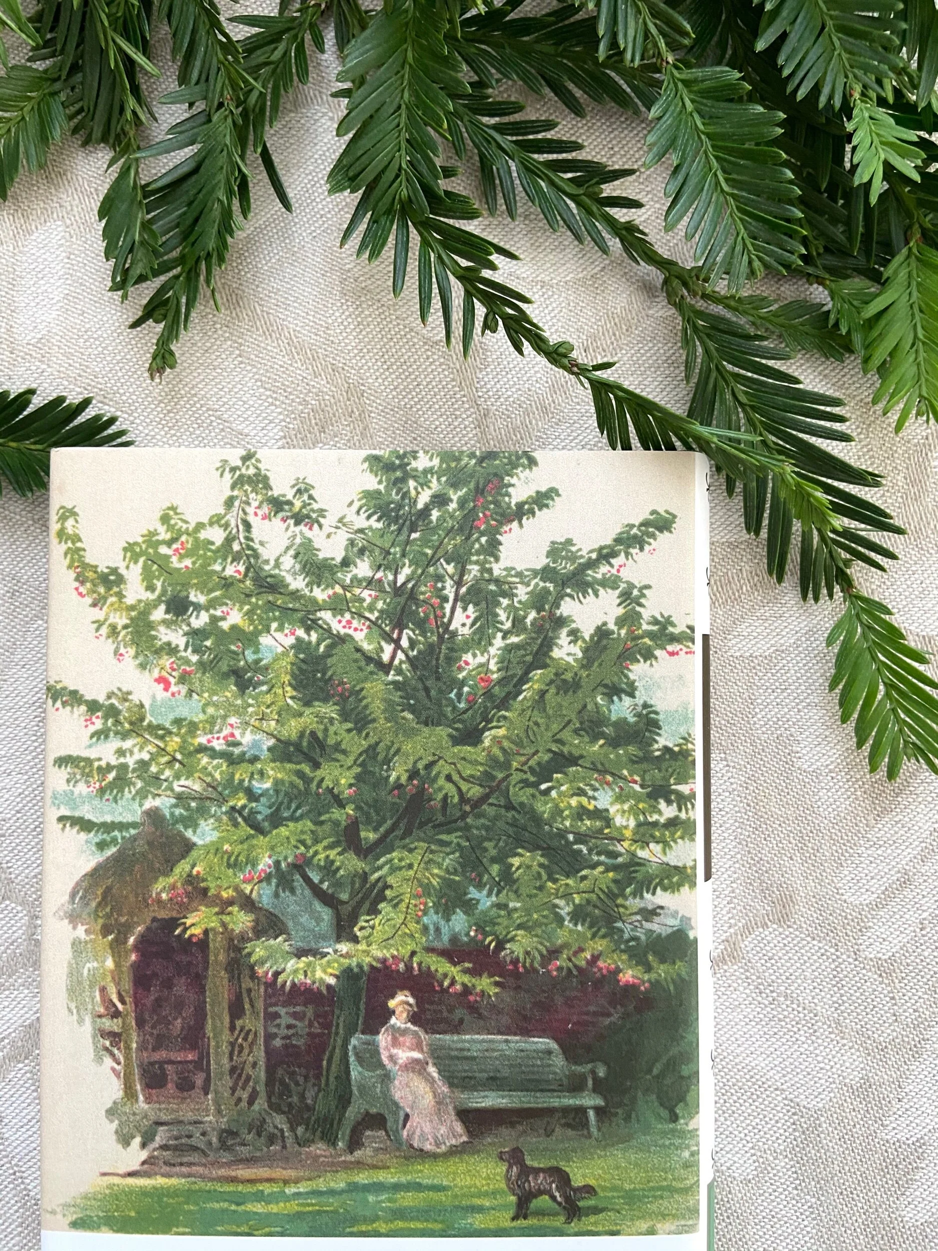 3C56B8D8-58D2-49D6-BCBA-ED0B5C690A53