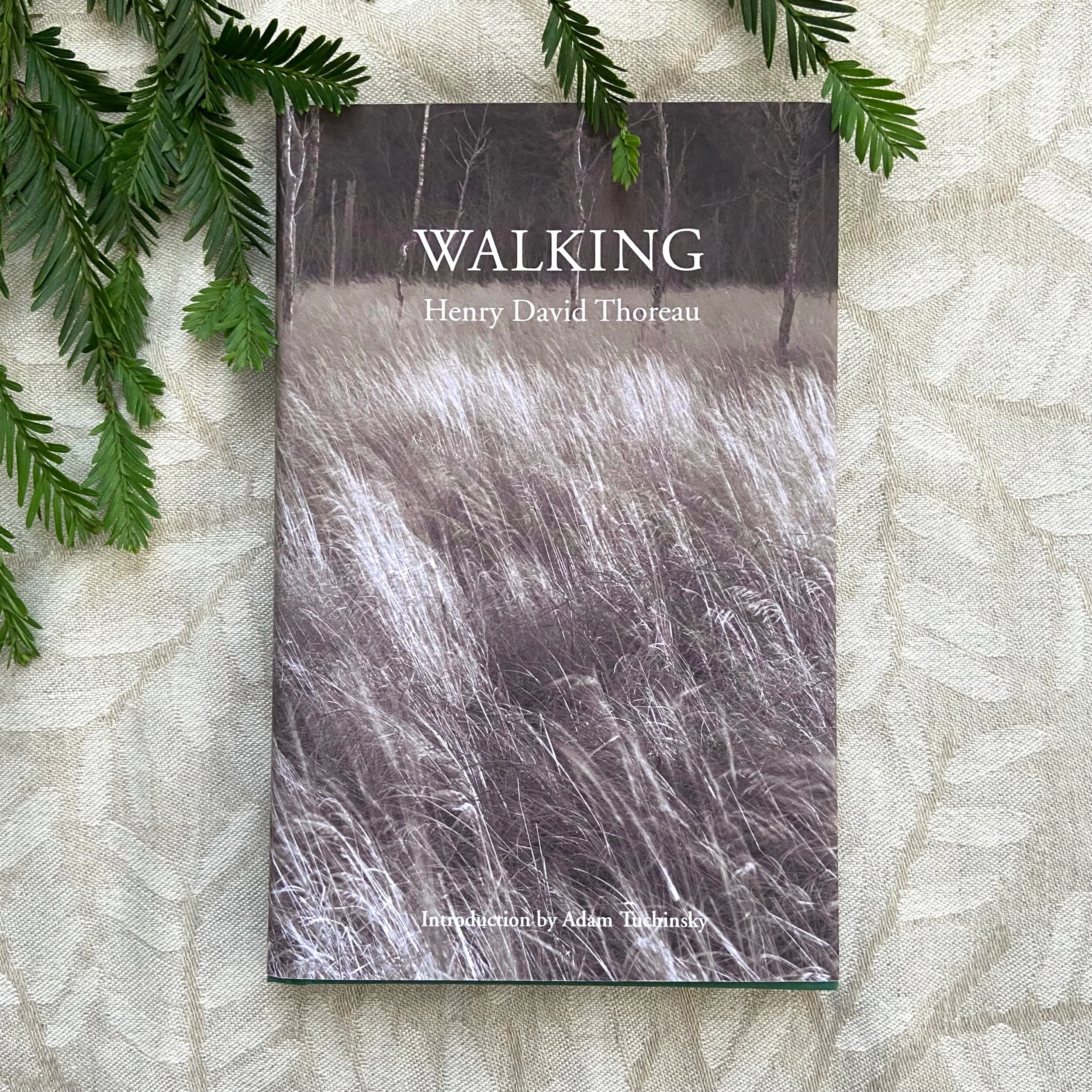 2E0CC91D-ED77-40A5-A115-9C91629D8830