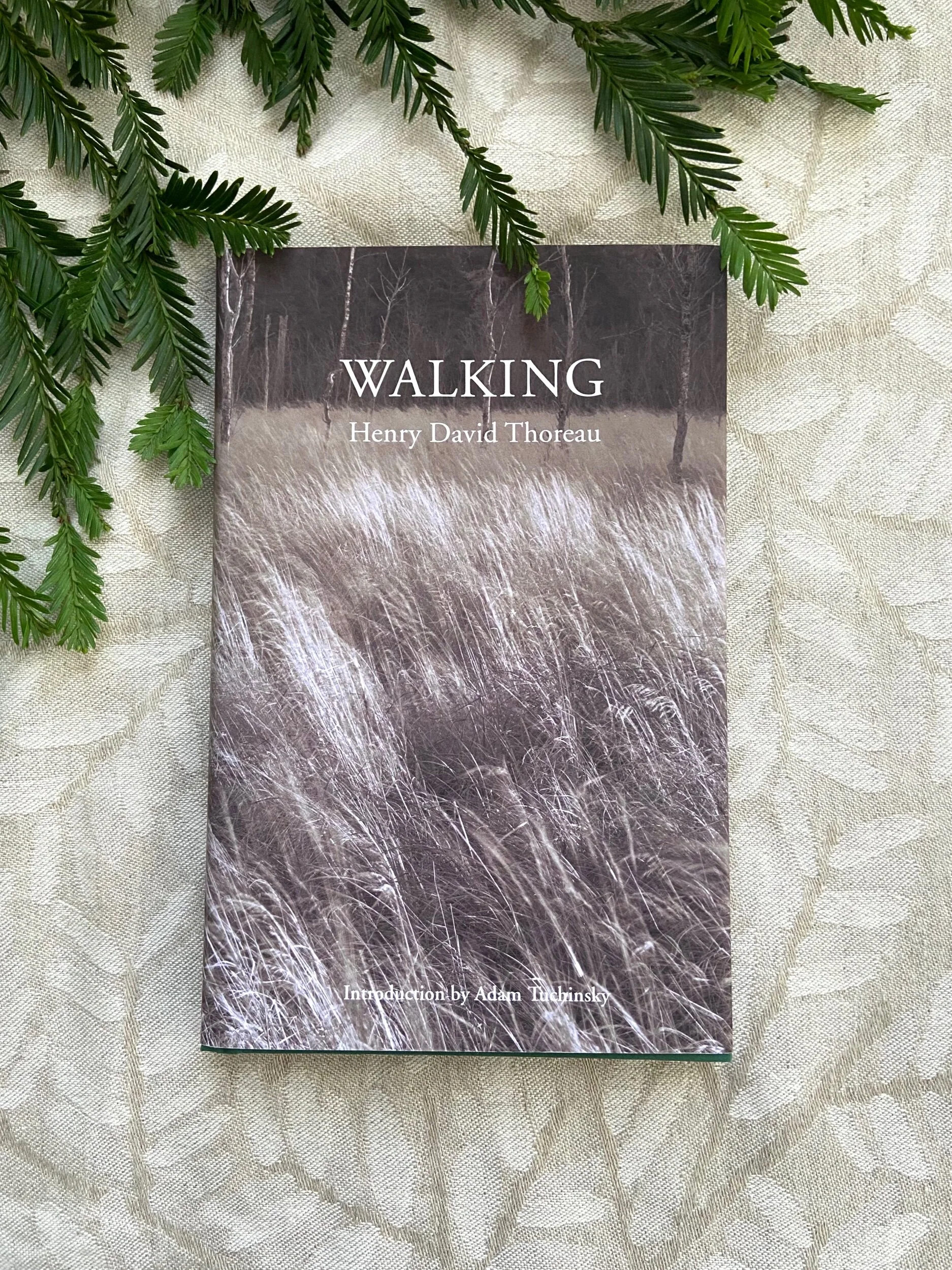 C92A6124-CF96-4553-BB5F-66B28FA1B53A