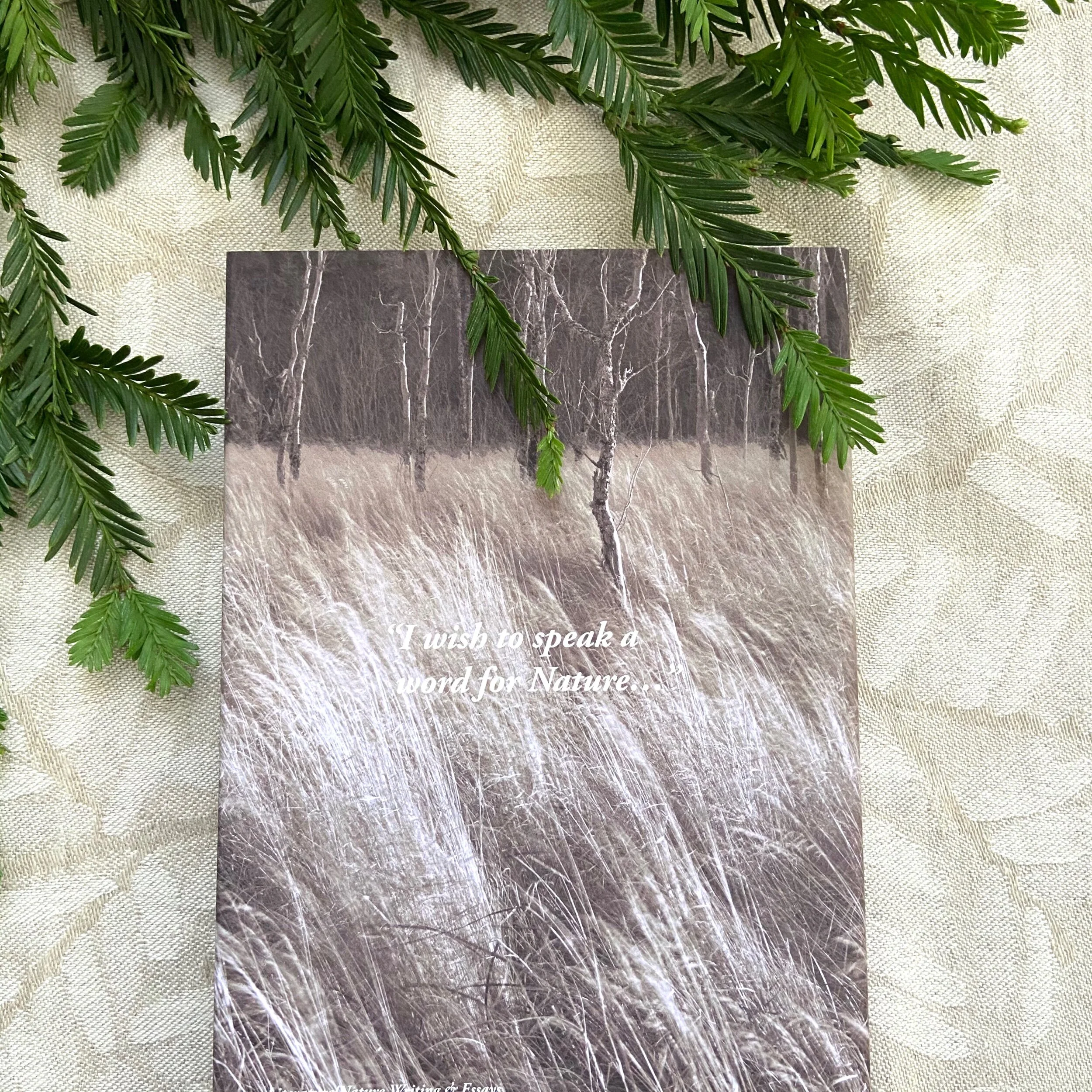 2B61D461-E542-41EC-892A-A66D9339BEF6