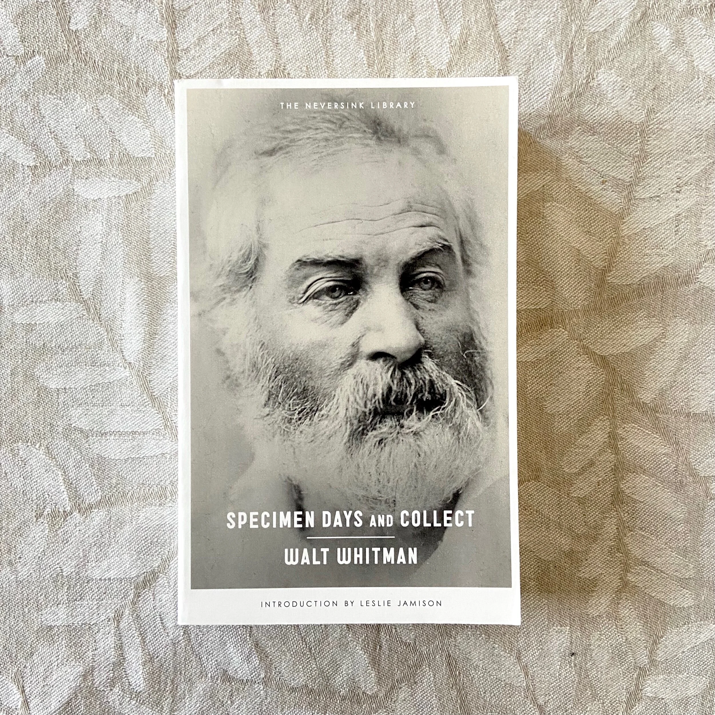 03BF8067-B0A2-4EFC-B9FD-F458457D0D05