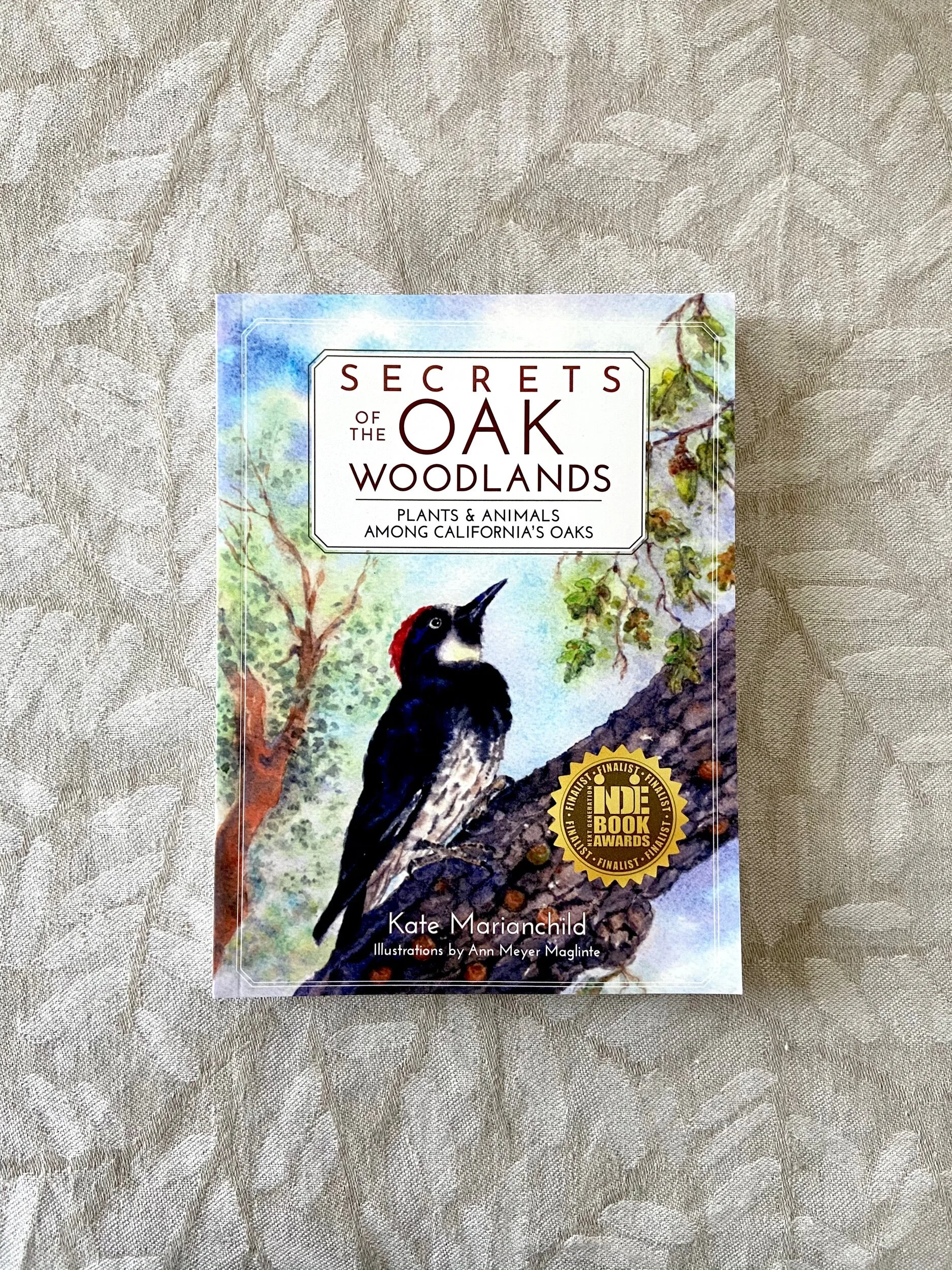 6A903D6A-E03C-4F83-A8F4-EA4C2F5AFDA2