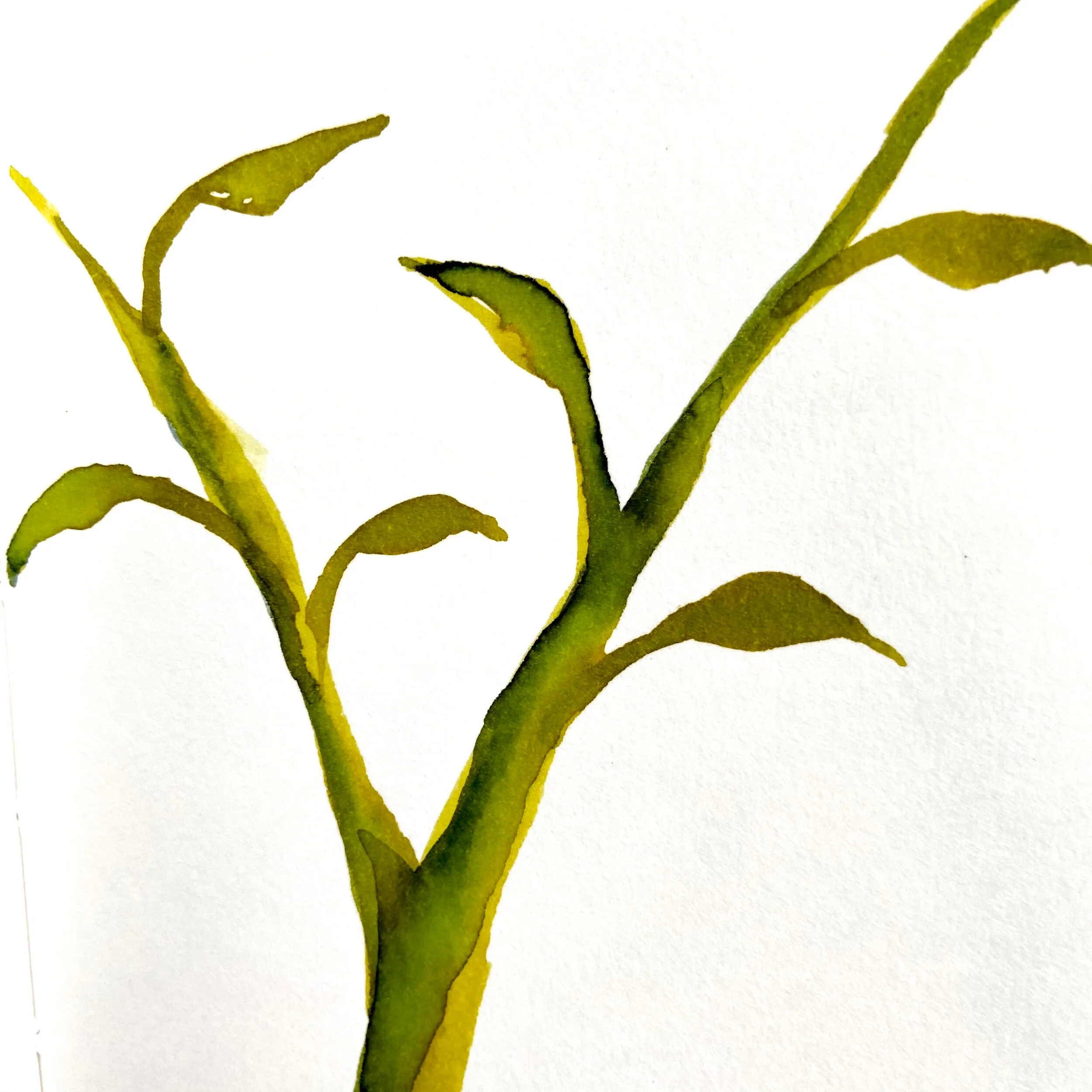 20372DD8-CCC3-4CDC-B796-F6080439006B