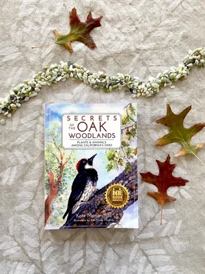 Secrets of the Oak Woodlands — Good Gray