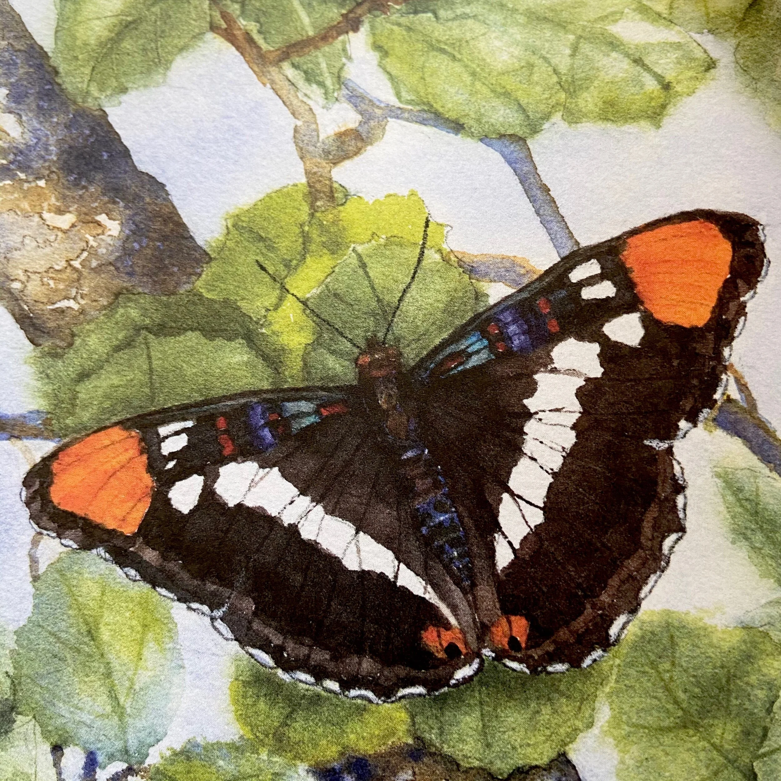 FA4ED04D-90E1-455B-95D6-B5B8BC6EB938