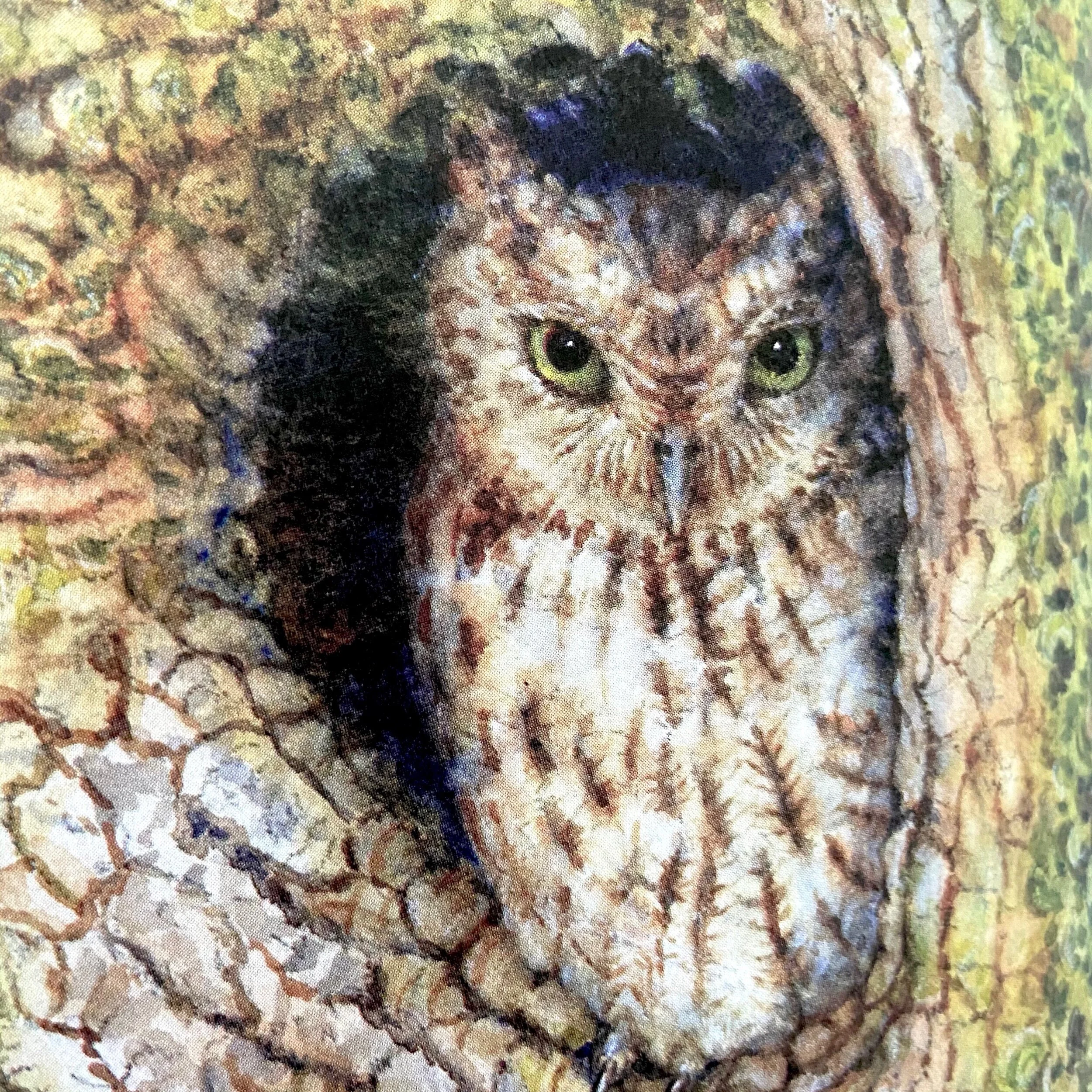 88DF0D24-B78C-4CFC-8F94-8C8C587BDD96