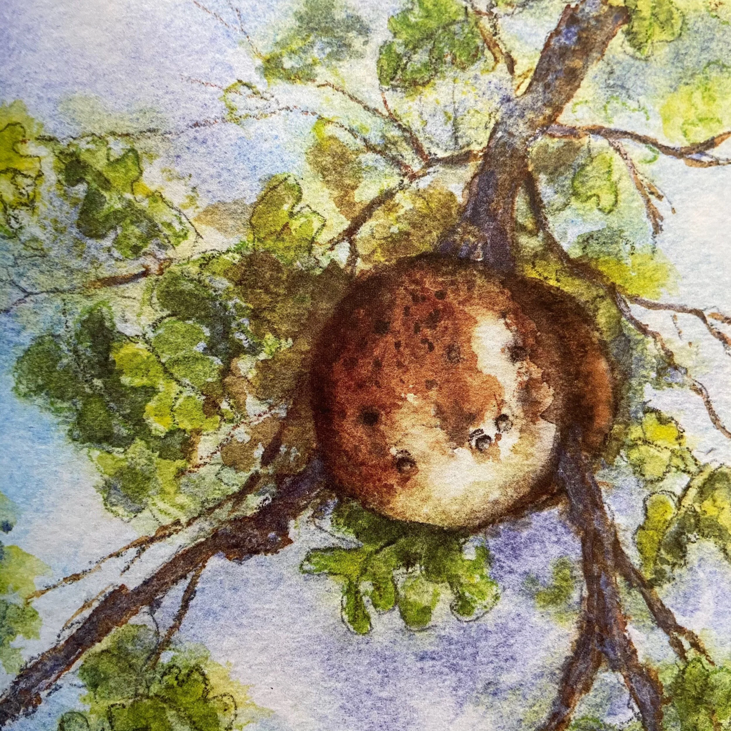 26024E3A-2447-4B39-AC04-5B28A050DA6E